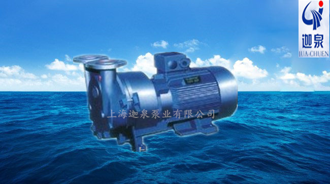 水环式真空泵
